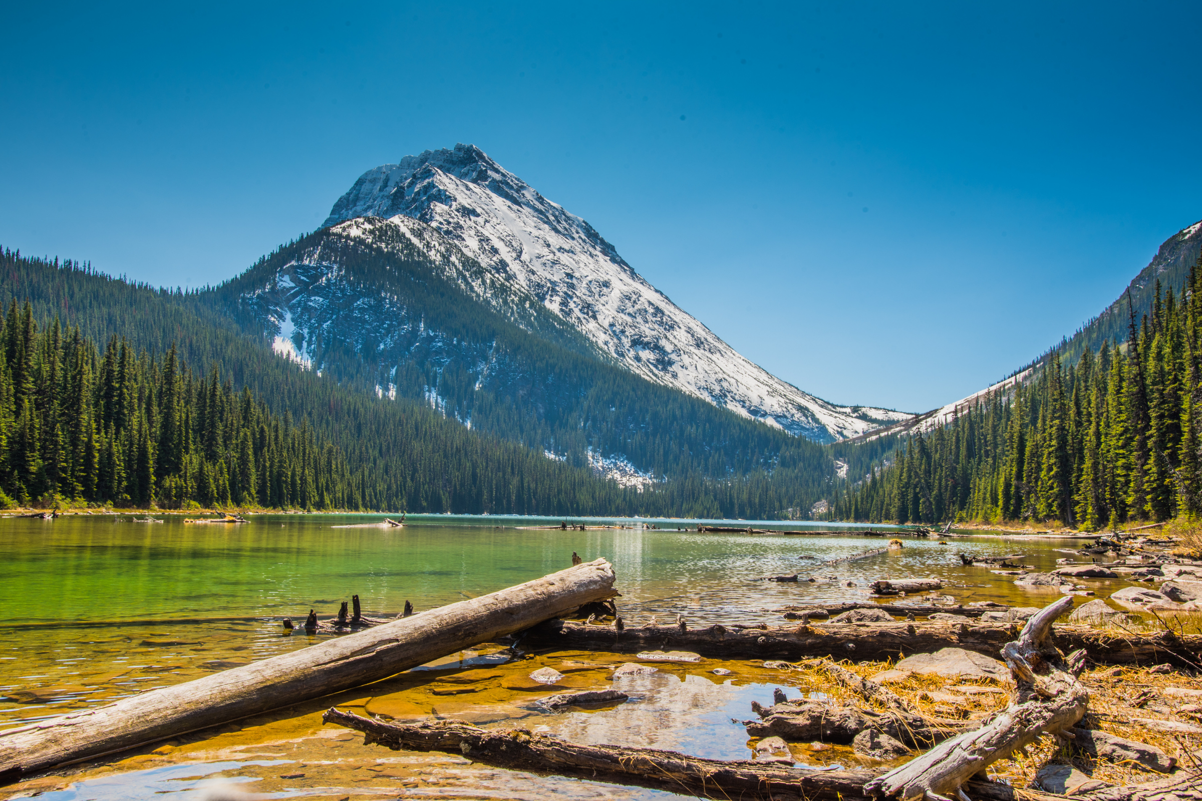jasper national park, alberta (4).webp